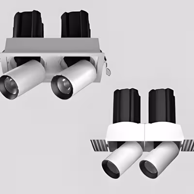 12 Adjustable Double Square Downlight