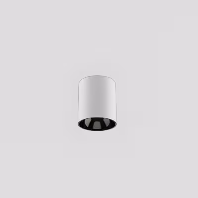 17 Outdoor Surface Round Downlight